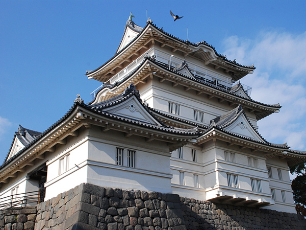 小田原エリア
