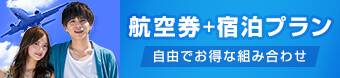 航空チケット付き