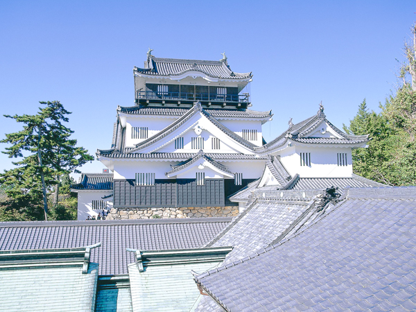 岡崎エリア