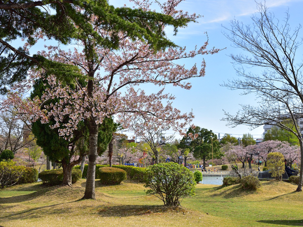 郡山エリア