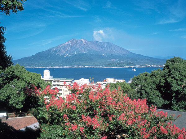 桜島エリア