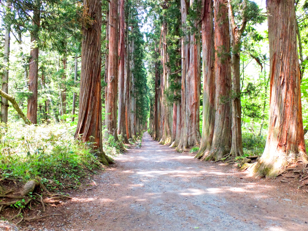 長野市エリア