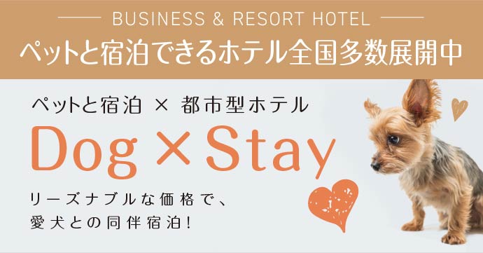 Dog stay discount