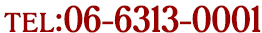 06-6313-0001