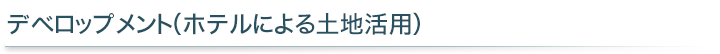 デベロップメント（ホテルによる土地活用）