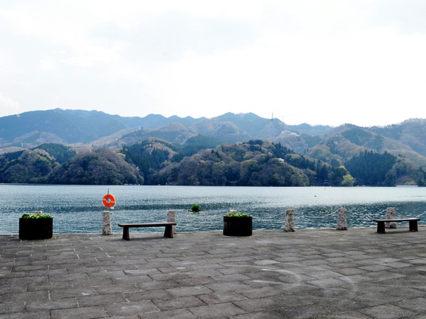 相模原市(広域)エリア
